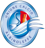 Logo Albinoleffe by BeKings, tornei di calcio giovanile