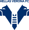 Logo Hellas Verona by BeKings, tornei di calcio giovanile